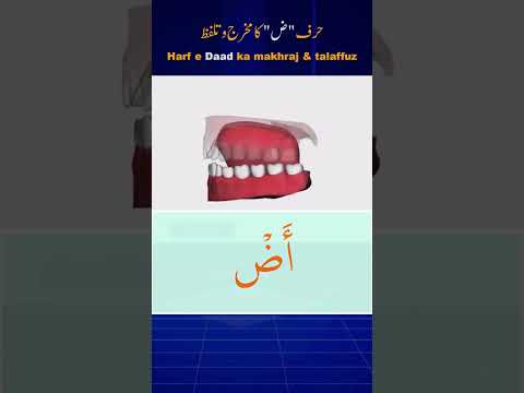 Duad letter Tajweed |  Zuad letter Tajweed  | Arabic letters pronunciation | #shorts #tajweed #quran