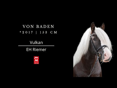 Von Baden *2017 v. Vulkan-Riemer