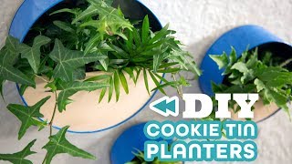 Turn Old Cookie Tins Into Wall Planters - HGTV Handmade