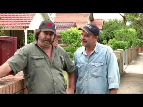 導盲犬--停車前先想想 (Guide Dogs- Think Before You Park)