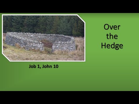God's hedge of protection over you.  Job's hedge of protection. The Good Shepherd. Job 1 John 10