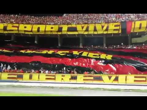 Torcida do sport no Arruda