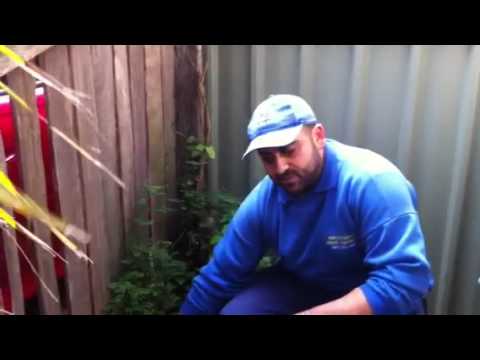 Pest Control Sydney - Rodent Boxes