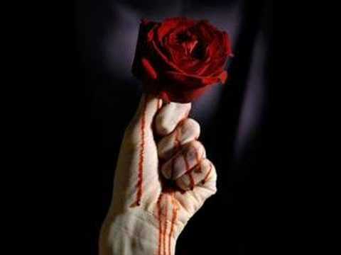 sen yoksun artık dogan61