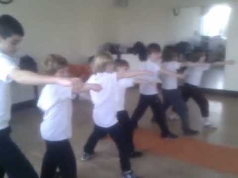 Northern Praying Mantis Kung Fu video.