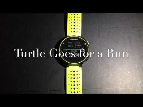 Garmin Forerunner Alert Setup