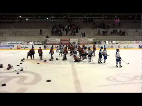 Mlajši dečki HD mladi Jesenice slavijo naslov državnega prvaka