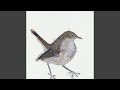 Nightingale Pt 2 by Cosmo Sheldrake