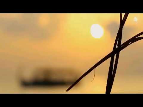 The cherished Maldives 3  4 K ULTRA HD