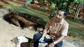 Download lagu MOH WAFI COVER KARE LEMPONA mp3