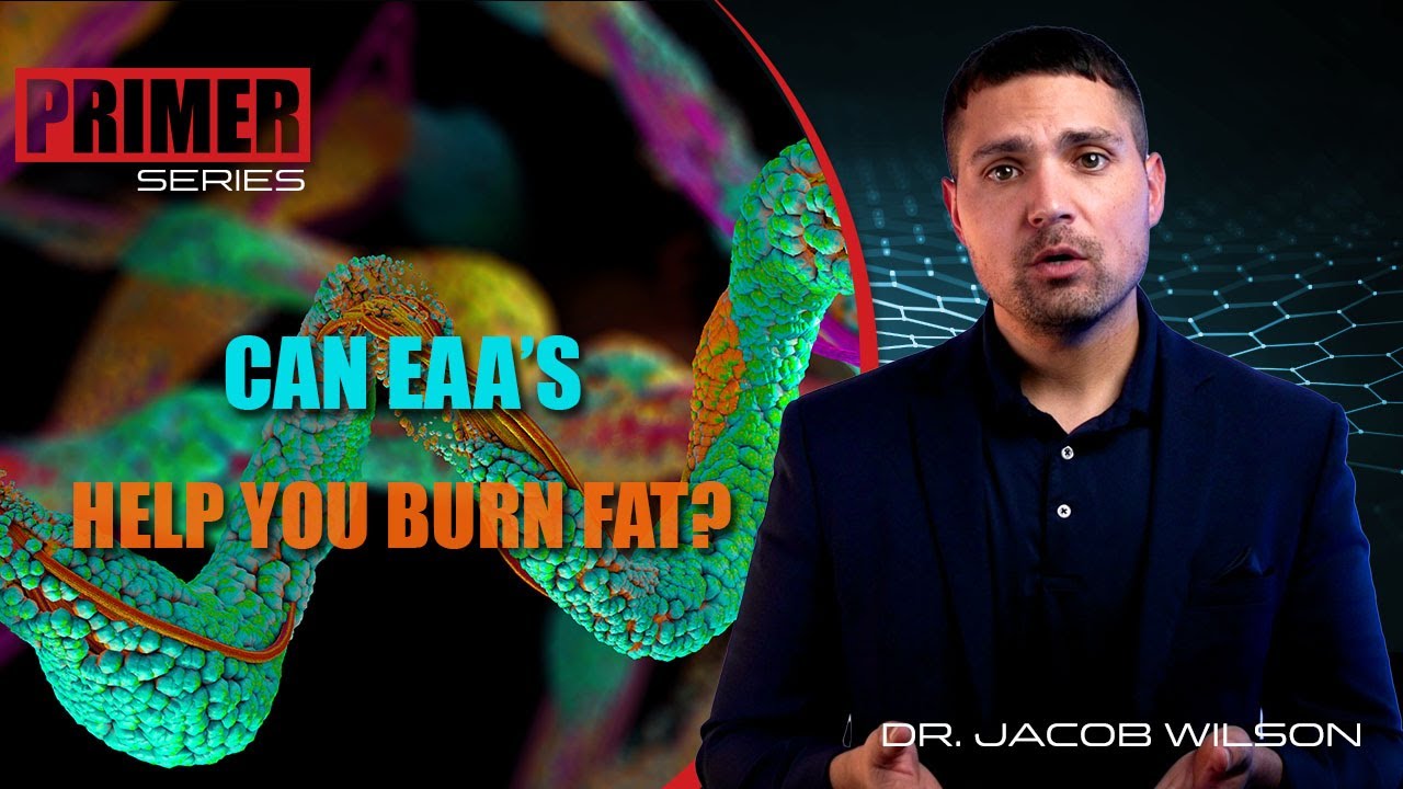 Can Essential Amino Acids Help You Burn Fat?