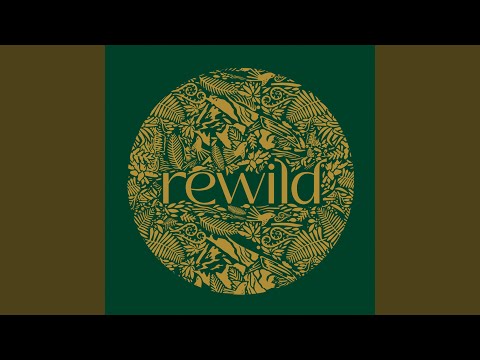 Shringaar (feat. Bhanwari Devi)