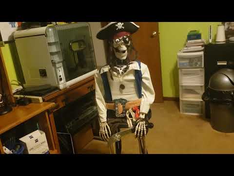 Captain Sisko the Pirate Robot