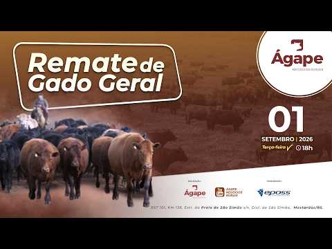 Remate de Gado Geral - 01 de Setembro - Mostardas/RS