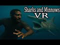 Complete Ten Laps To Escape Sharks And Minnow VR