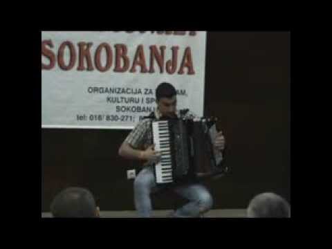 Prva harmonika Sokobanje 2013 (17. avgust 2013)