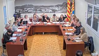 Ple ordinari de 26 de febrer de 2026