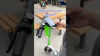 This side hustle makes $700/day charging scooters (Bird, Lime, Uber, etc.)