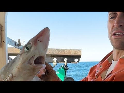 Top 3 Cool Catches! (Maine Lobster Fishing)