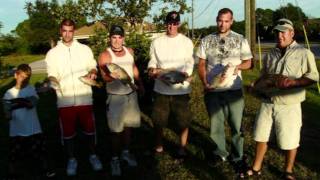 Charters in Englewood, Florida - Diving, Fishing, Sunset, Fossils - Venice, FL