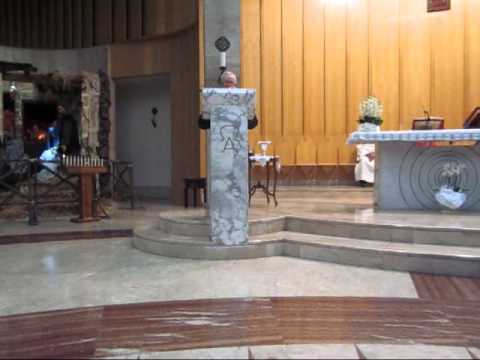 S. MESSA 2012-01-20 CRISTO RE Martina F. P. Eugenio Caputi.wmv