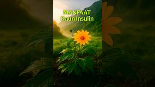 Download lagu Daun Insulin Turunkan Gula Darah & Kolesterol #dauninsulin #sehatalami #herbaldiabetes #shorts mp3 Download lagu Daun Insulin Turunkan Gula Darah & Kolesterol #dauninsulin #sehatalami #herbaldiabetes #shorts mp3