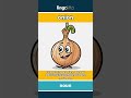 onion - a round vegetable with many... video thumbnail