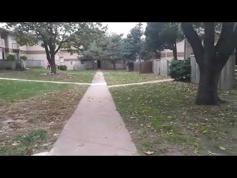 Chris brown - Sensei ft. A1