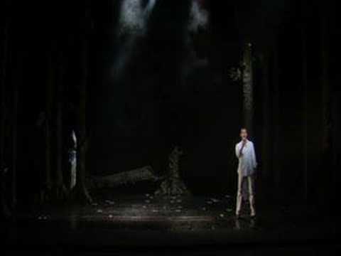 Pinocchio il musical - C'era una volta...