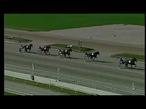 Napoli Trotto 11/10/2022 - 2ª prova di qualifica