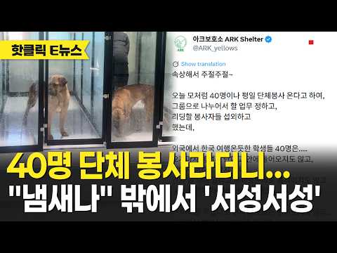 40명 단체 봉사라더니… 