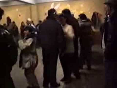 fado mandado | vasco esteves de baixo | carnaval | 1995