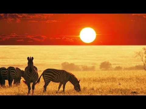 download lagu mp3 mp4 Cantate Domino Midi, download lagu Cantate Domino Midi gratis, unduh video klip Cantate Domino Midi