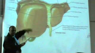 Dr Sherif Fahmy D3m Abdomen 13 " Liver " ( part 3 )