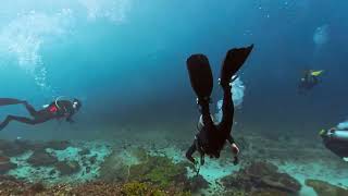 2026 May in Komodo islands 1