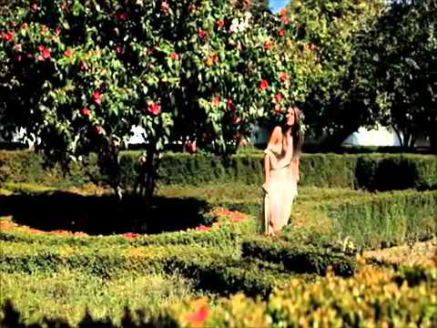 Cuca Roseta Nos Teus Braços   YouTube