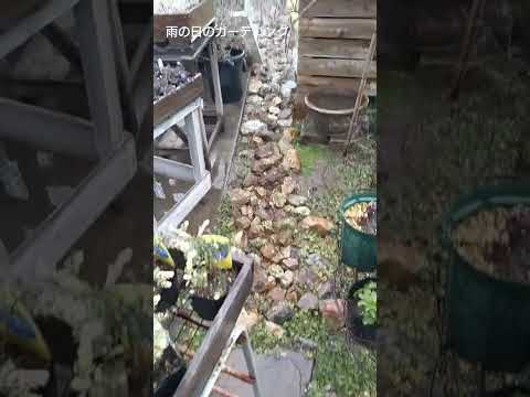 機能的で美しく、耐久性のある雨の庭を作るにはどうすればよいでしょうか?初心者向けの無料ガイド！  庭園