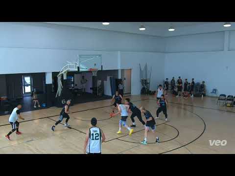 T-Rex (49) tier 11 - 2023 SUMMER Beach Boys (44) - tcbl sunday