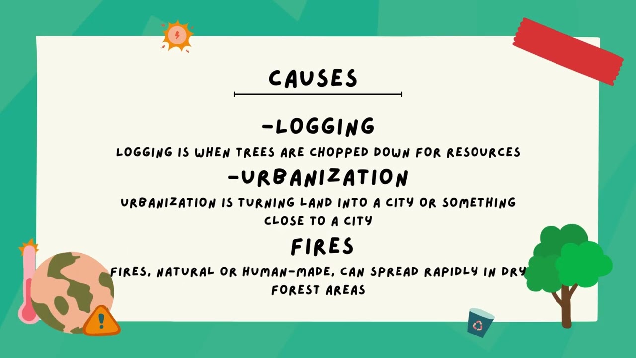 Deforestation by Maddie S., Ben M., Clark B. (Byron Somerset Public School Grade 5)