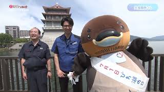 2024/6/17放送・知ったかぶりカイツブリにゅーす