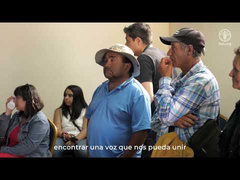 Trabajo en La Higuera por una Ruta Patrimonial Costera Birregional en el norte de Chile