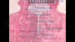 Pavel Fajt / Mikoláš Chadima - TRANSPARENT PEOPLE