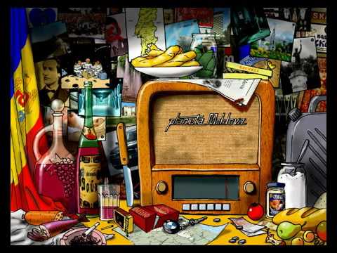 Planeta Moldova-Borea/Vitea