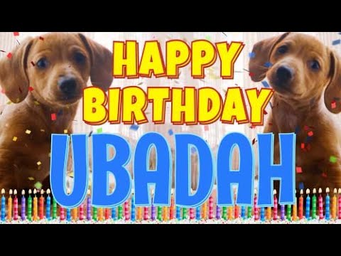 Happy Birthday Ubadah! ( Funny Talking Dogs ) What Is Free On My Birthday