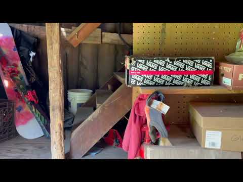 Yellow Jackets Love Vans in Hillsborough, NJ