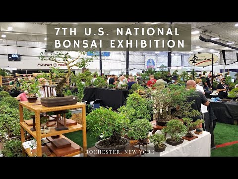 7th US National Bonsai Exhibition (2021)