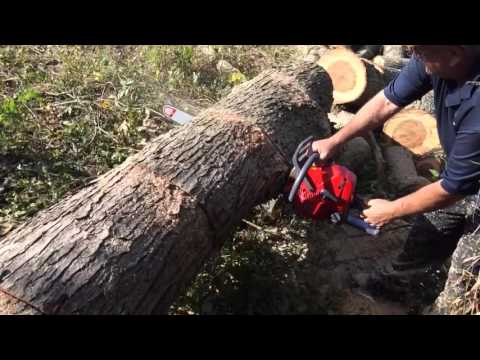 Efco MT 6500 Chainsaw at Tyson mowers