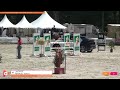 cheval de sport 7 ans