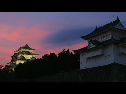 名古屋の城景観光　【提供：名古屋城本丸御殿】