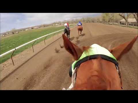 Jockey-Cam video from May 6 Horse Racing in Miles City Montana!